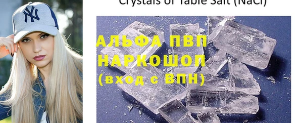 СК Новодвинск