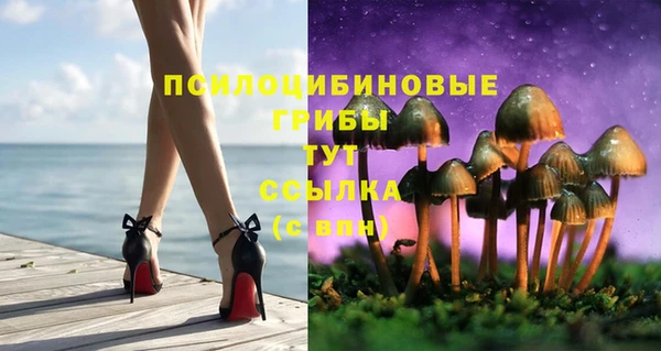 стаф Нягань