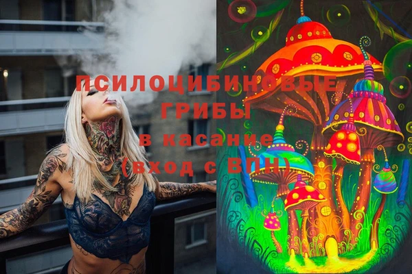 стафф Нязепетровск